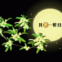 奧邦|遙望月將圓，顧家正當(dāng)時(shí)