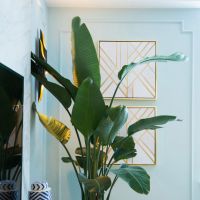 奧邦|臥室，擇一處舒適，予一份安寧