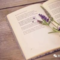 相約夏季，在奧邦邂逅書(shū)香