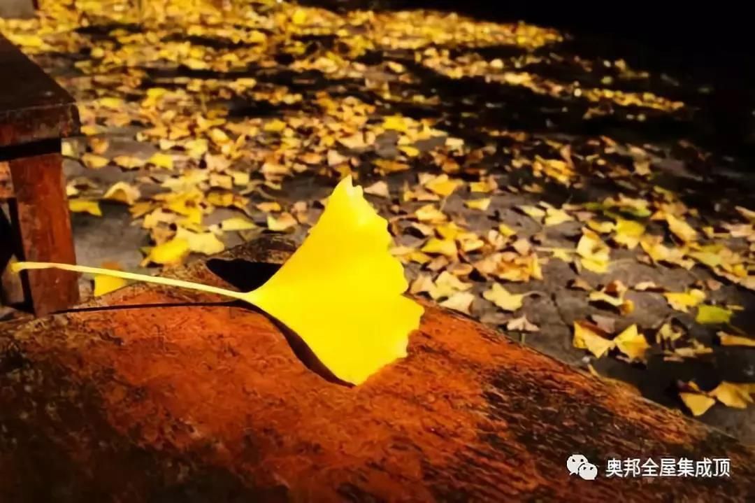 微信圖片_20191029160205 微信圖片_20191029160205